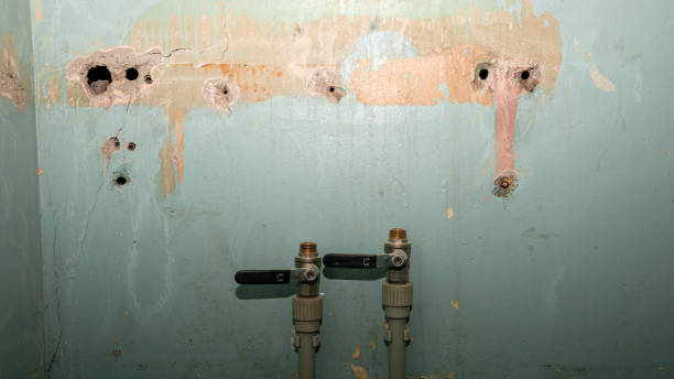 Best Commercial water damage restoration  in Augusta, WI
