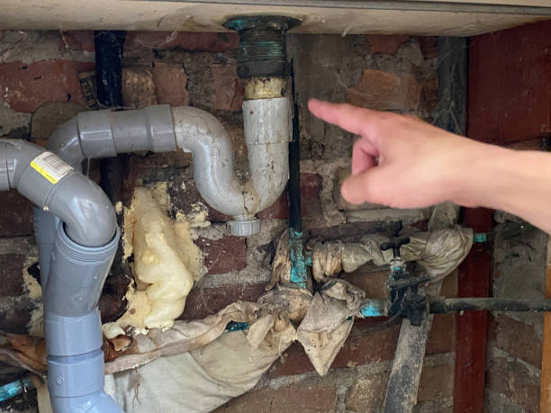 Best Residential water damage restoration  in Augusta, WI